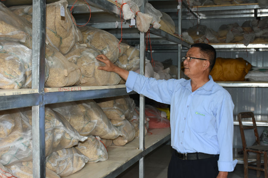 陈定全为“王家贡米”农业生产做准备（戚原 摄）