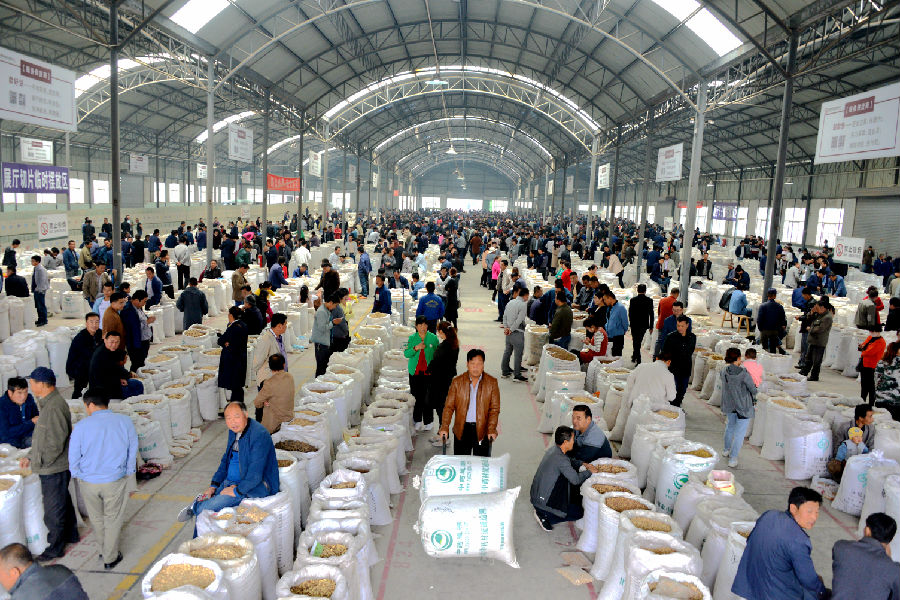 陇西县首阳镇地产药材交易市场一隅（张爱平 摄）