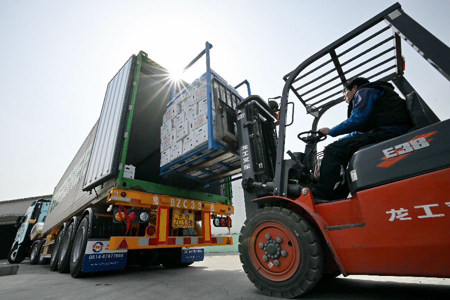 在新军屯镇一家食品企业，出口美国的生姜正在被装上集装箱。（董钧 摄）