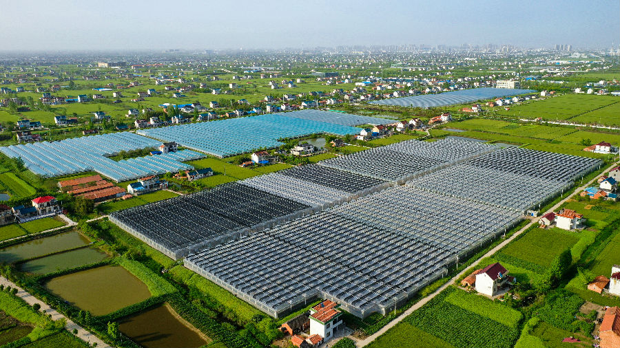 如东县省级现代农业产业示范园（陈建明 摄）