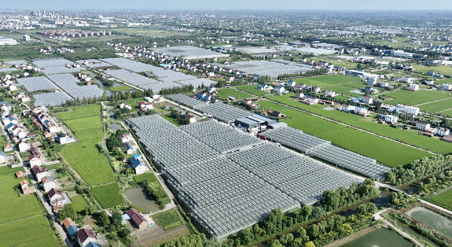 如东县国家级农村产业融合发展示范园（蔡军 摄）