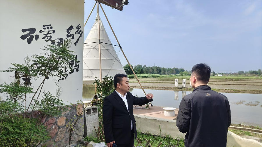 方泳（左一）在介绍新宇村乡村运营情况（曾庆华 摄）