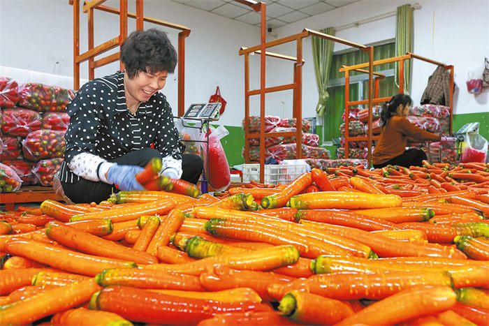 丰收的喜悦（资料图）（田肃 摄）