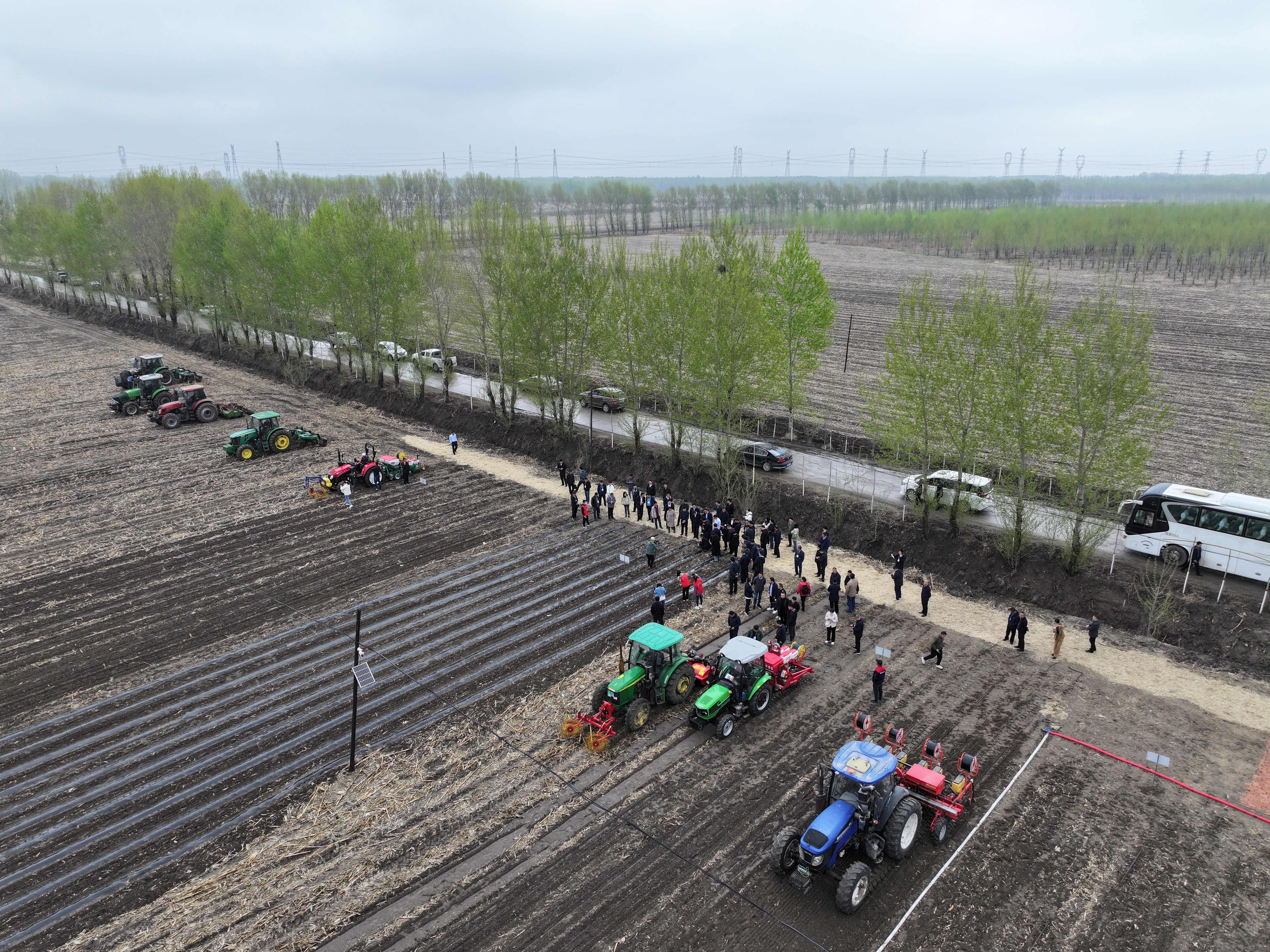 全国玉米单产提升会现场——彰武县兴隆堡镇荆林村大陆家组玉米地块（徐亮 摄）