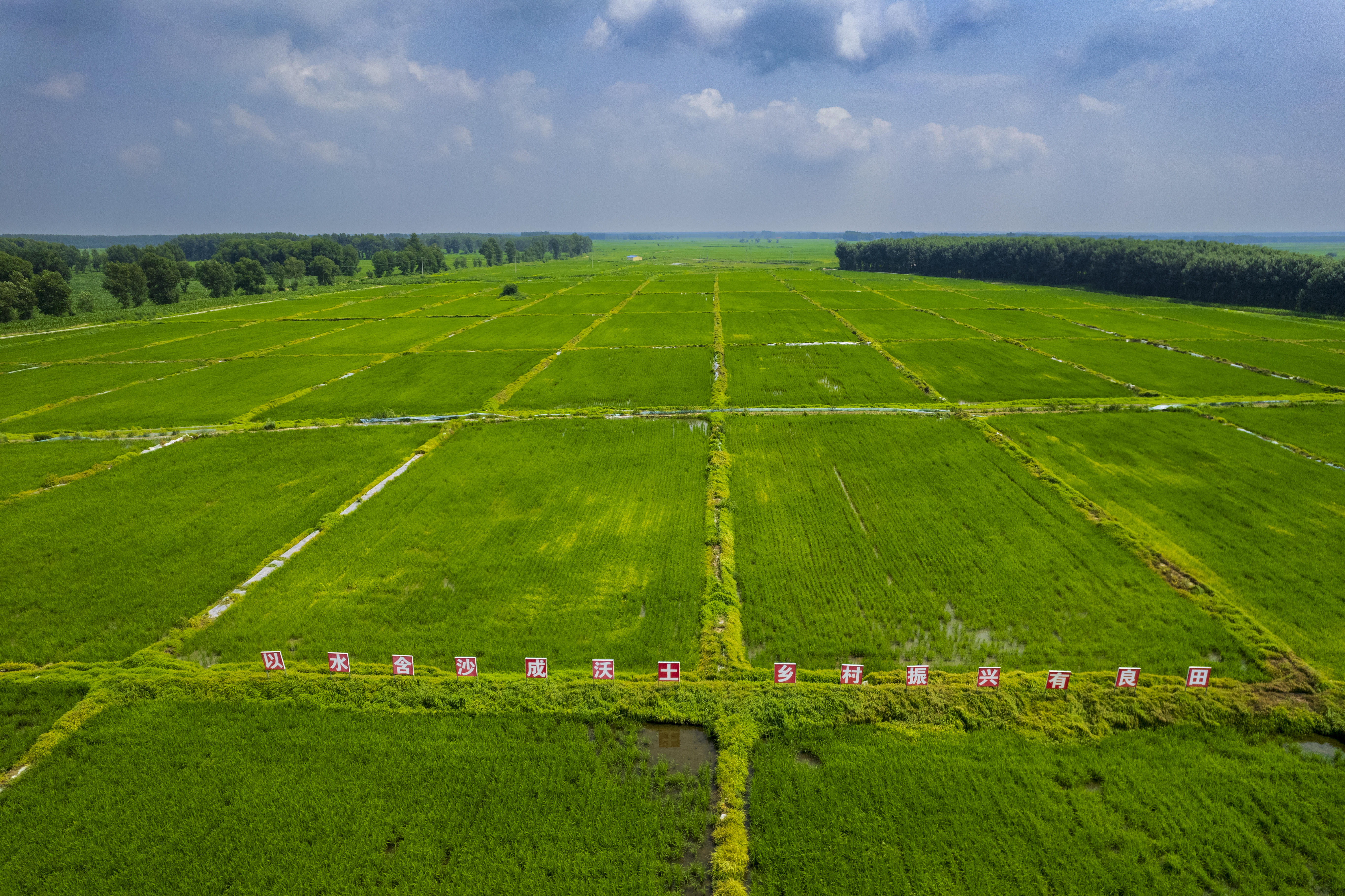 彰武县柳河综合治理“水田湿地”项目区（郑福宁 摄）
