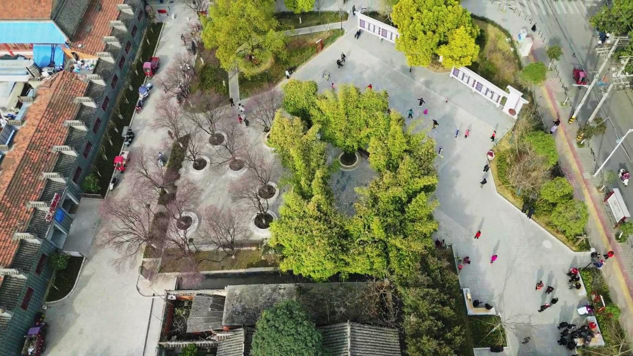 “口袋公园”成为市民的幸福乐园（杜丽丽 摄）