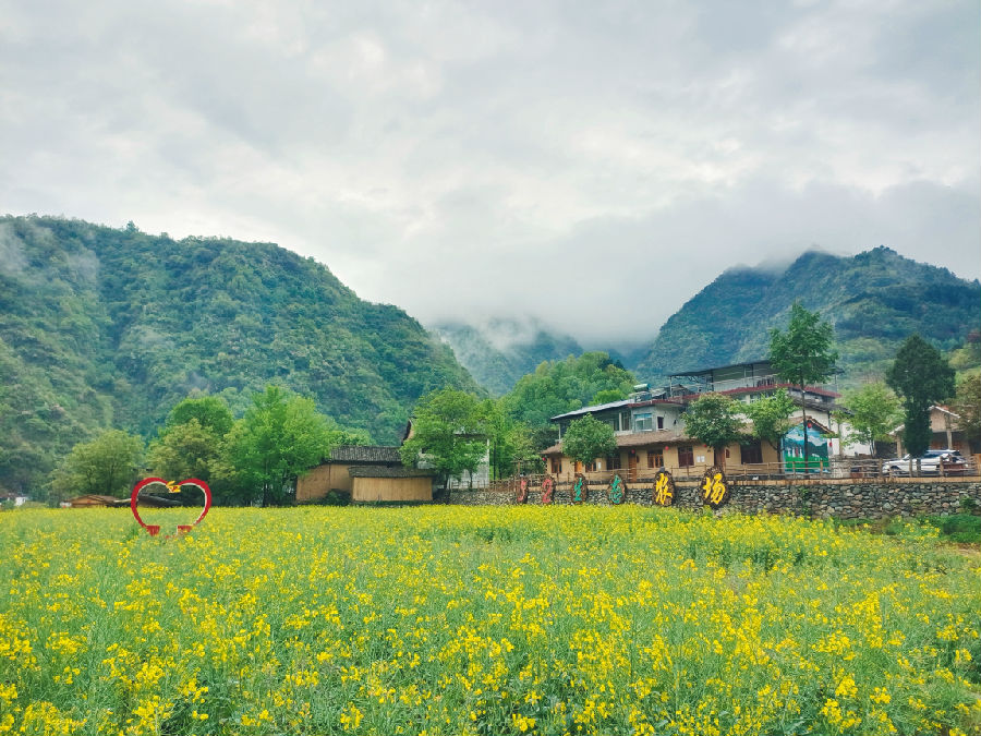 岸门口镇贾家坝村生态农场（焦杨红 摄）