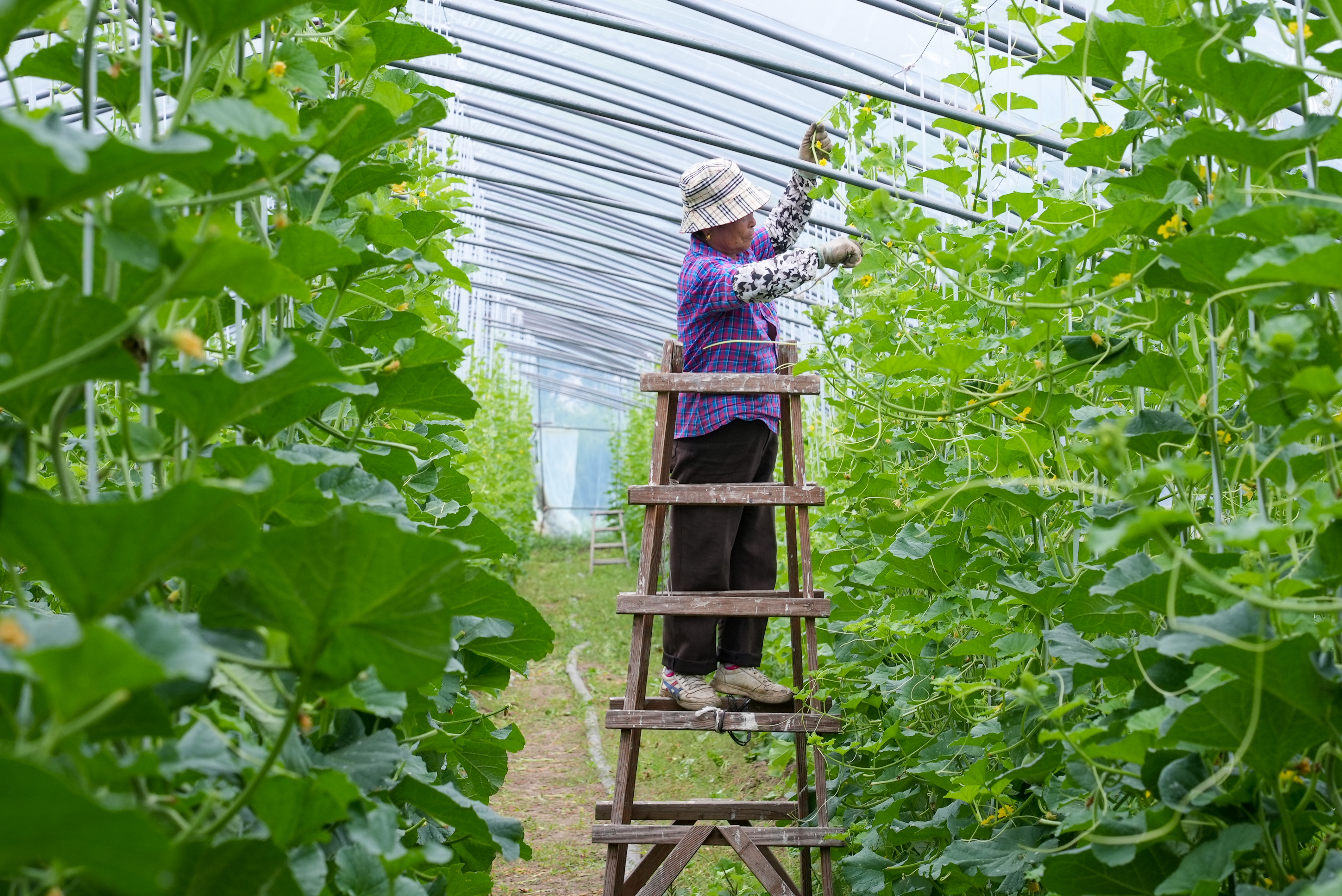 “益点田”亲子农场（袁新宇 摄）