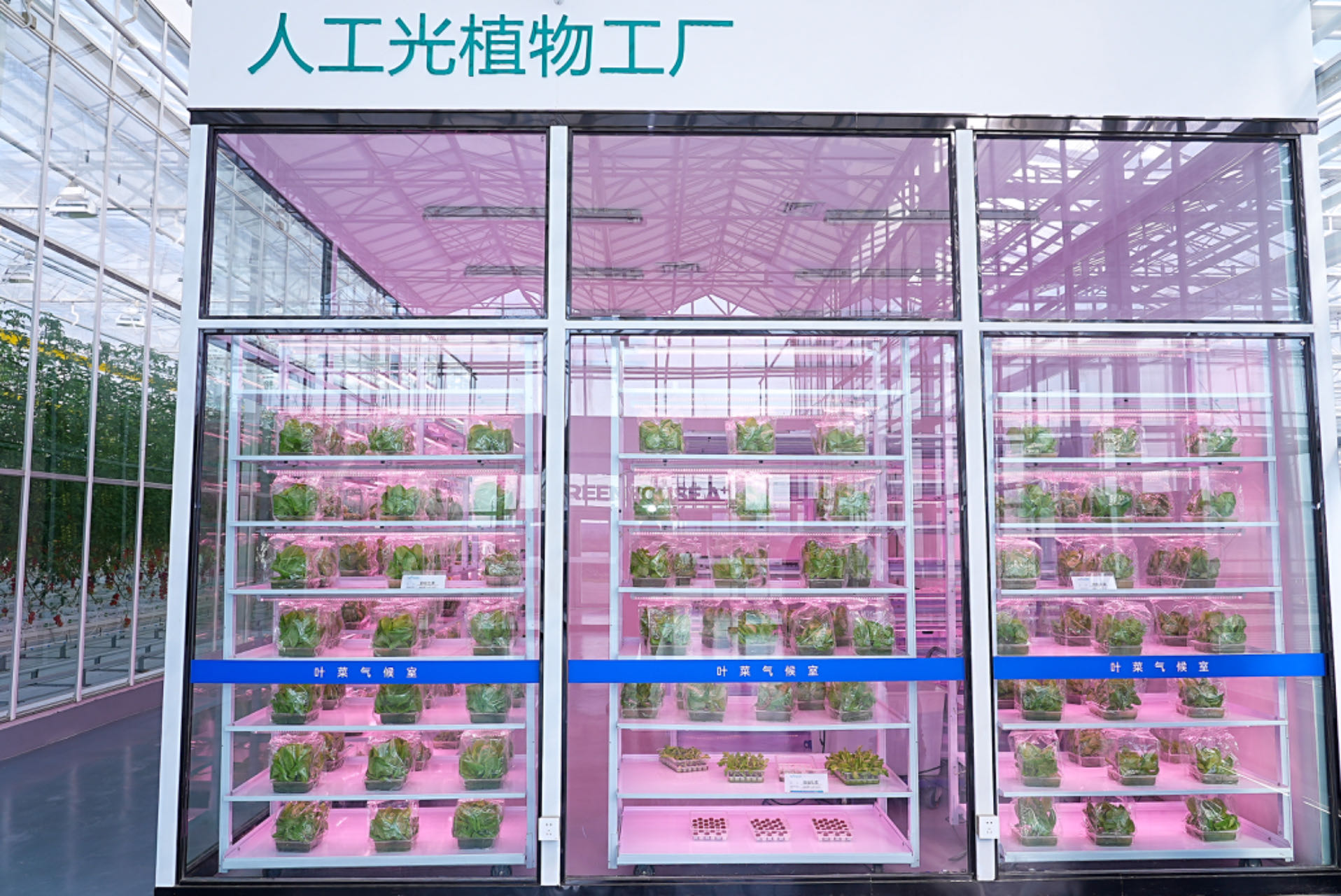 A+温室工场（袁新宇 摄）