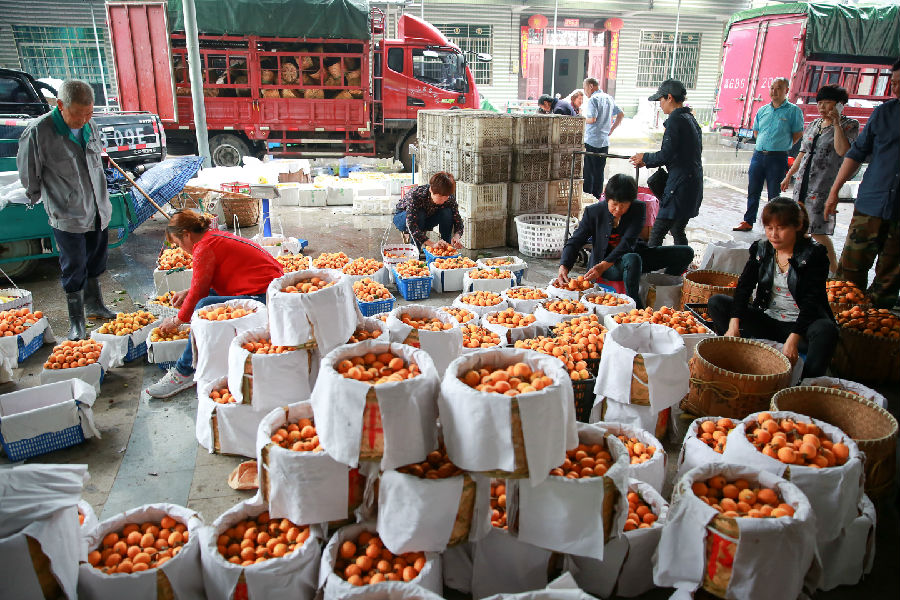 兰溪枇杷交易（王萍 摄）