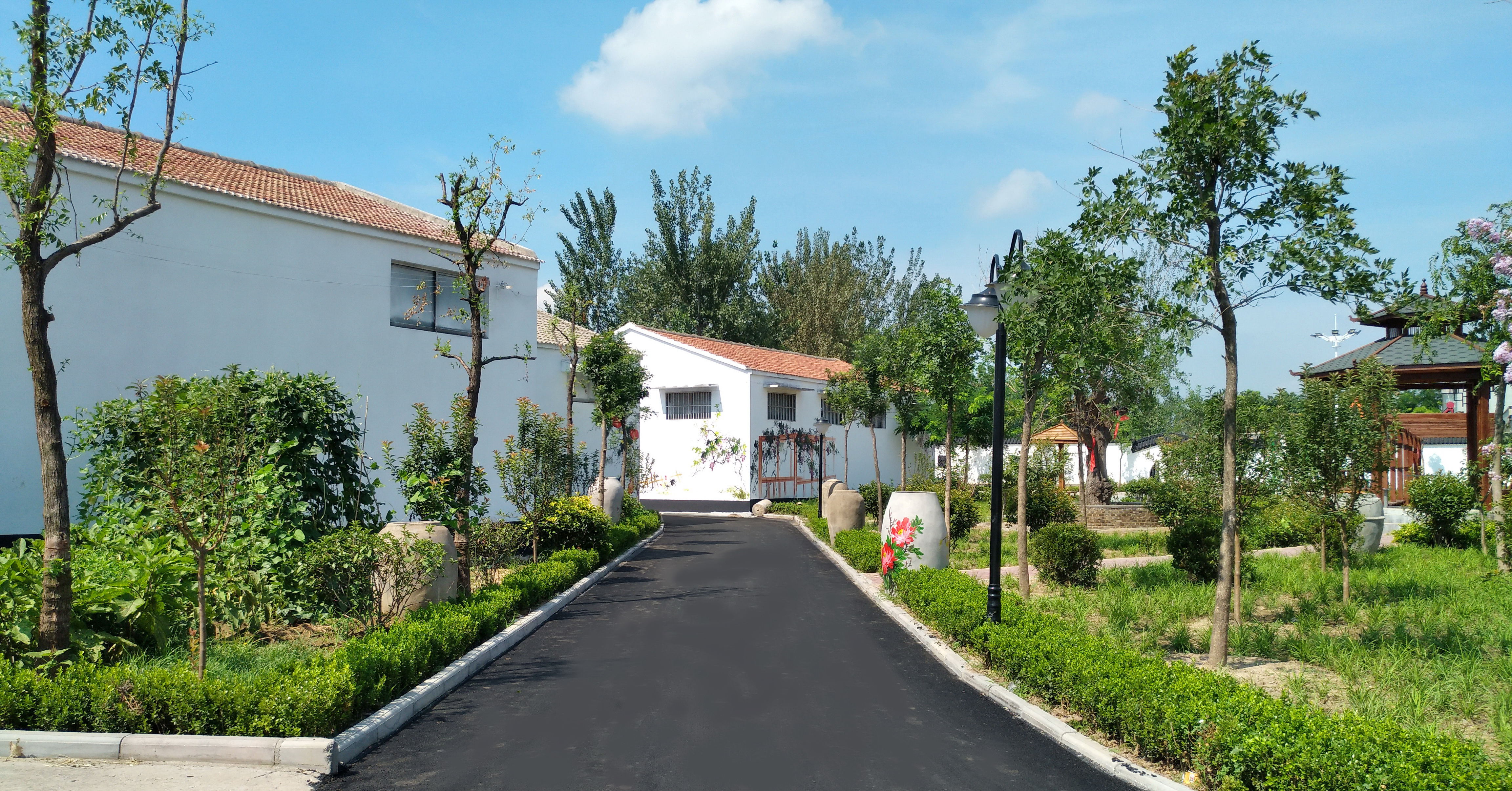 西平镇庞庄村（宫庆彪 摄）