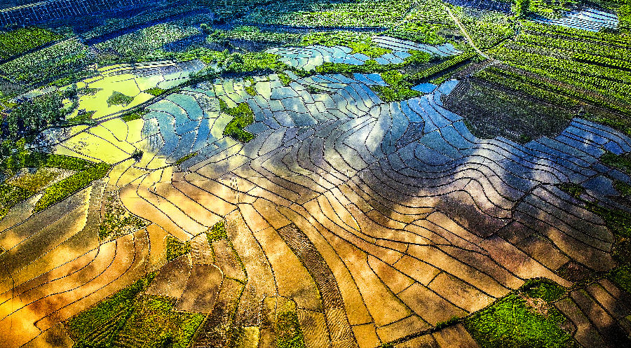 青石镇黄柏村（宦立鑫 摄）
