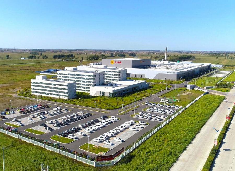 吉林正大食品有限公司建设肉鸡全产业链（于宣 摄）