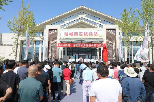 蒲城西瓜试验站（王涛 摄）