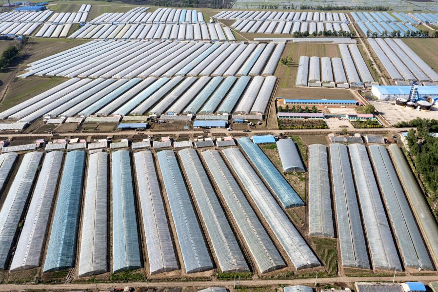 北沟村大力发展棚膜产业（于宣 摄）