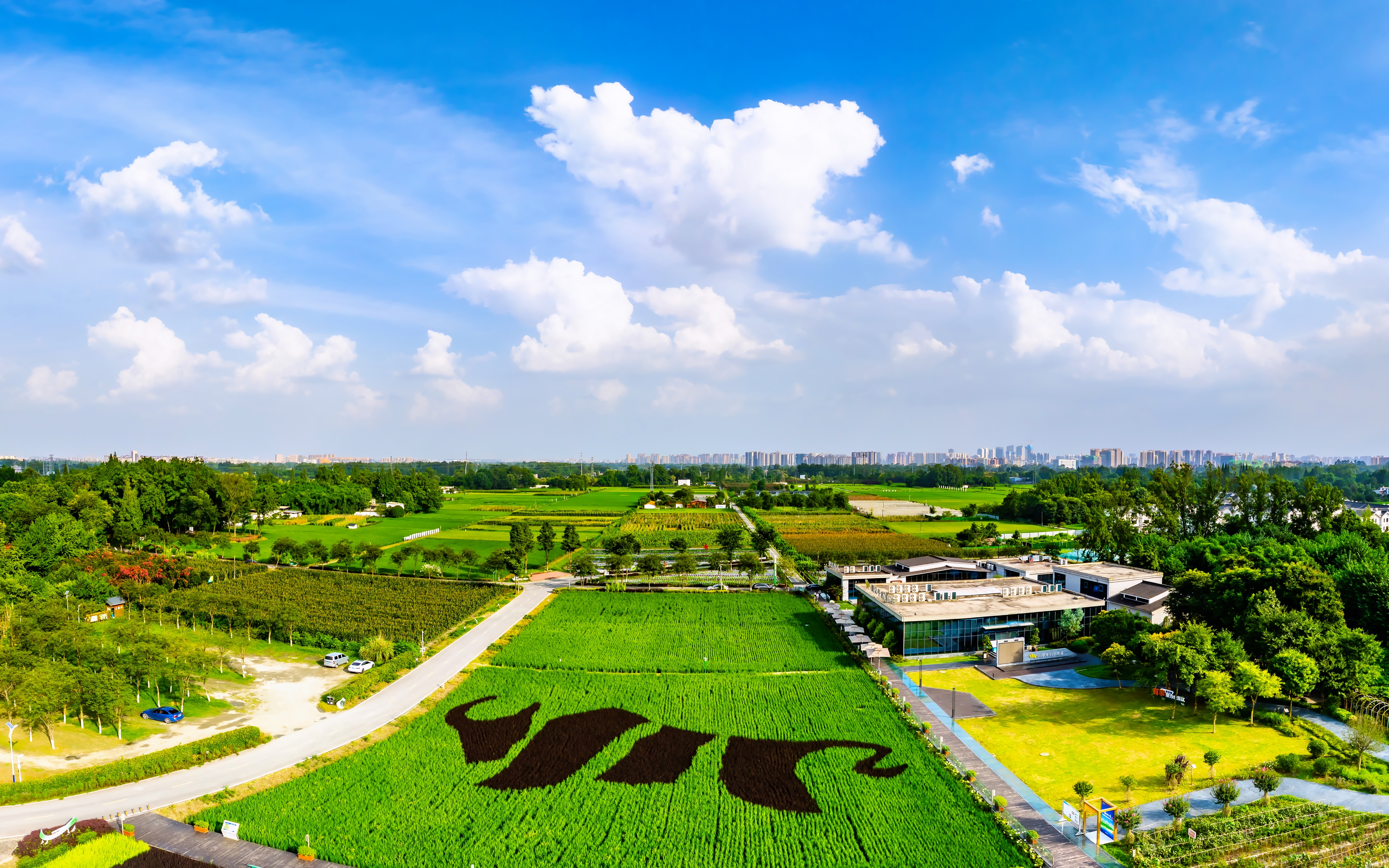 川农牛科创农庄（张志强 摄）