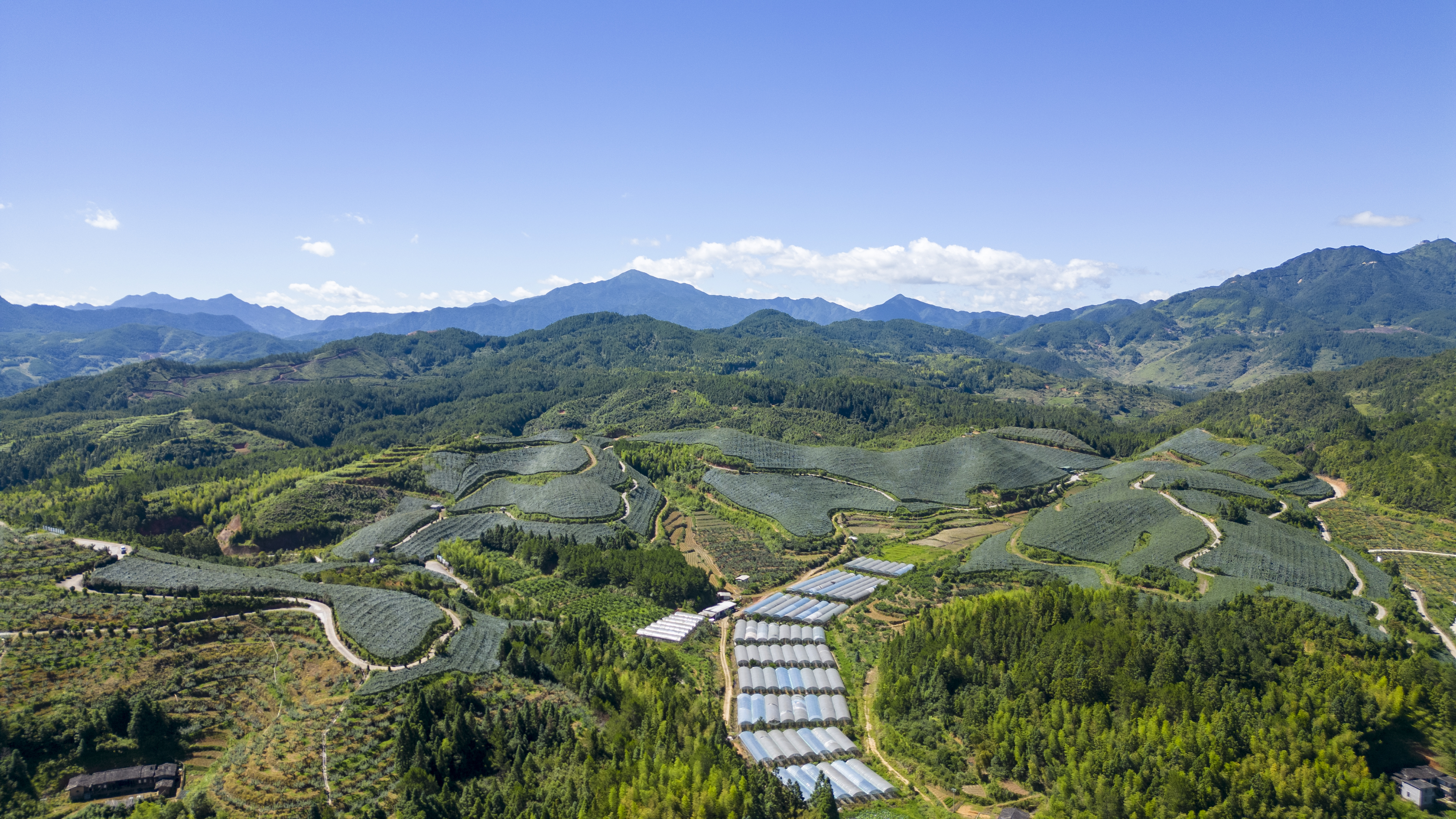 德化县春秋葡萄庄园（林婉瑜 摄）