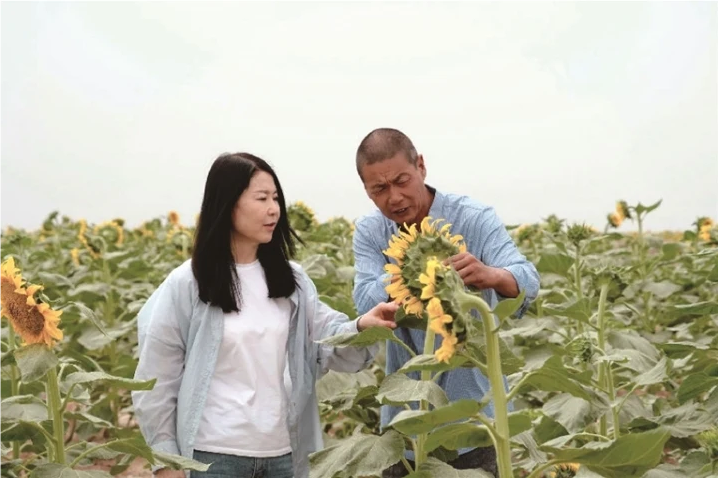 柳源镇祥和村村民杨魏向本报记者（左）介绍食葵种植情况（仲勇 摄）