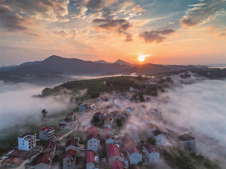 新昌东茗乡的和美乡村 通讯员 张志远摄