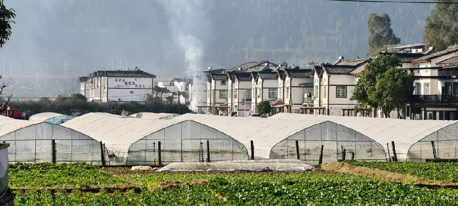 风格统一的民居（戚原 摄）