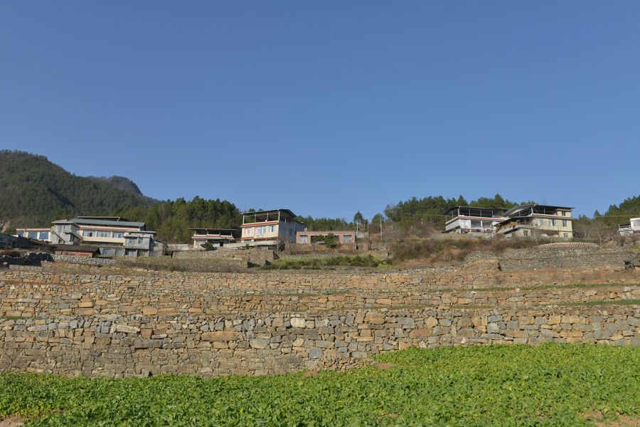 大茅坡上的石墙见证了精神的诞生(戚原 摄) 大茅坡上的石墙见证了精神的诞生(戚原 摄)