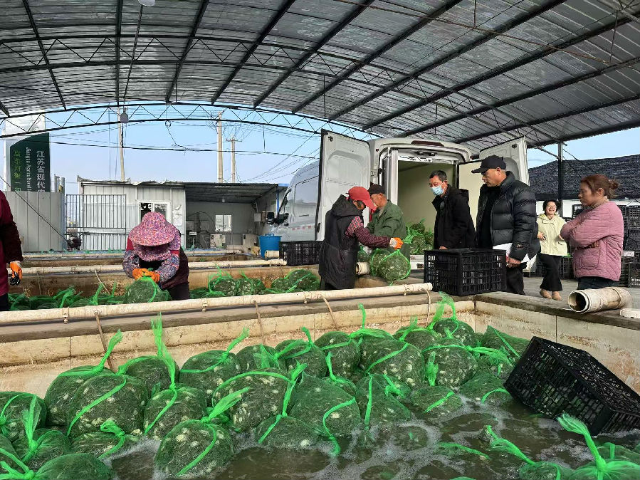 刘洪陪同客户选蟹苗(张伟伟 摄) 刘洪陪同客户选蟹苗(张伟伟 摄)