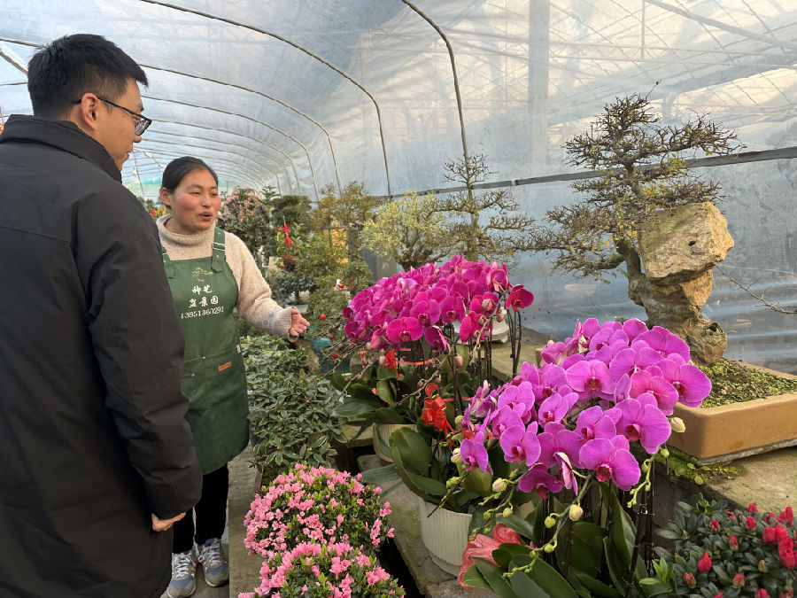 纪敏月忙着为顾客介绍各种花卉(张伟伟 摄) 纪敏月忙着为顾客介绍各种花卉(张伟伟 摄)