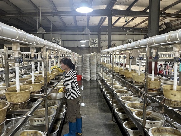 工人在生产车间工作（许送转 摄）