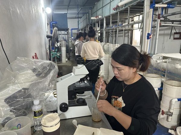 技术人员观察鱼卵变化（许送转 摄）