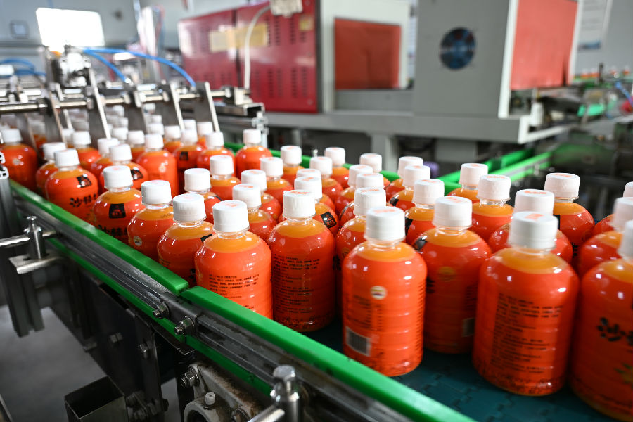 生产线上已经包装好的沙棘汁（詹俊杰 摄）