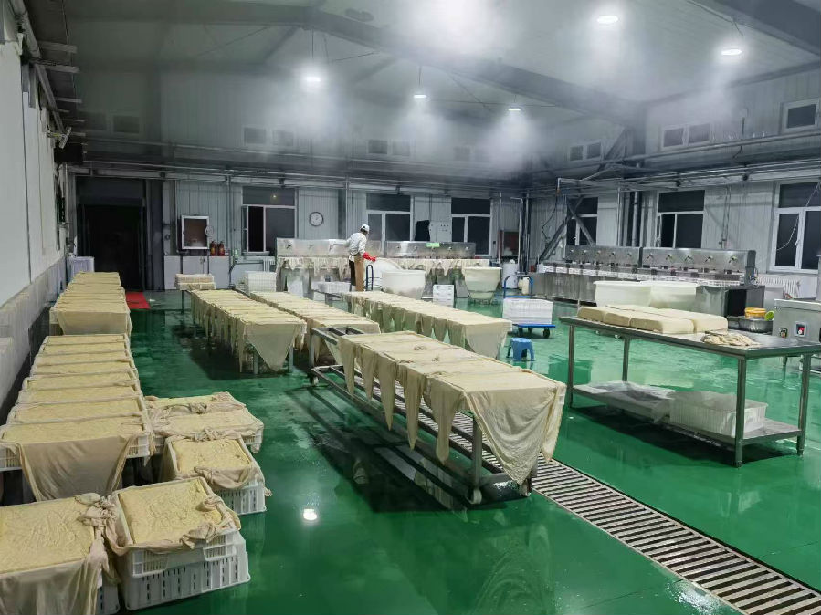 生产车间内的工人精心制作豆腐（刘海燕 摄）