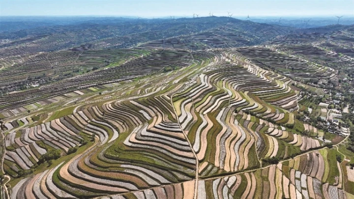 通渭马营梯田（张赛 摄）