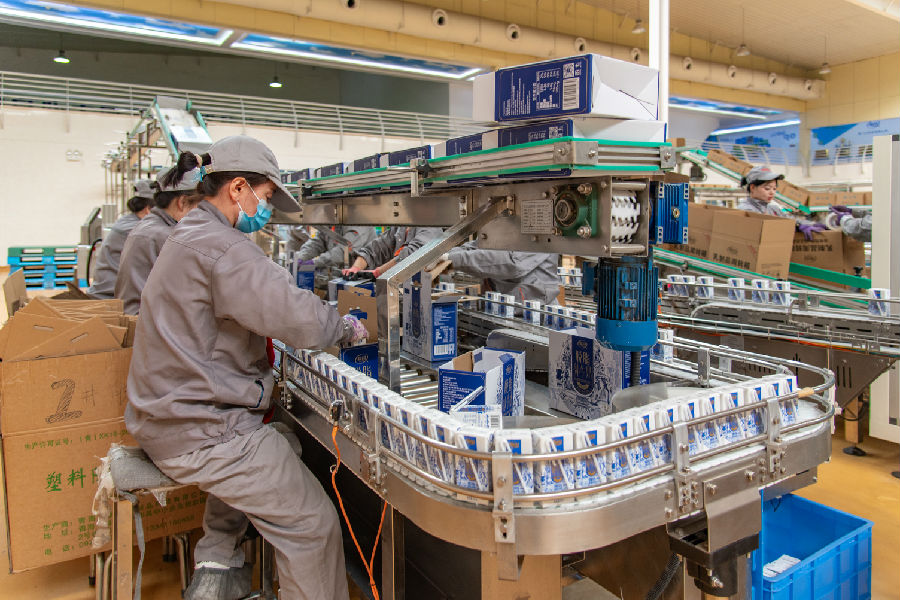 生产车间内工人们有序作业（庞明旺 摄）