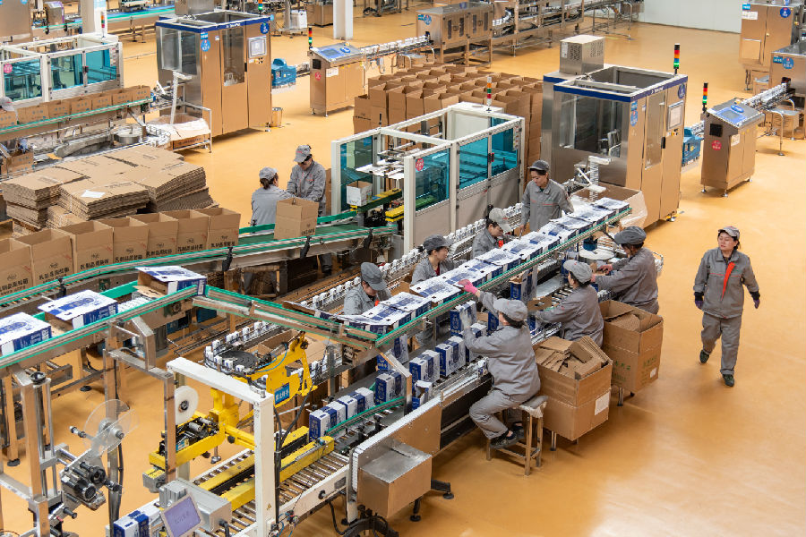 生产车间内自动化流水线高效运转（庞明旺 摄）