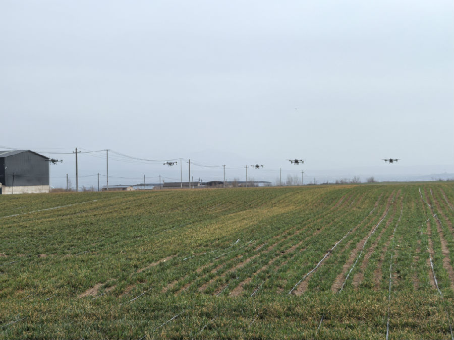 农业智能设备在田间精准施肥（王志峰  摄）