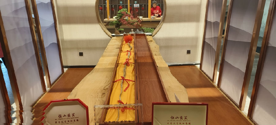 恒山黄芪展示中心（张锦涛  摄）