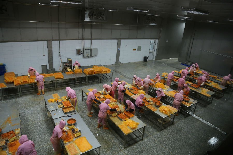  工人们在车间内专注处理肉鸡半成品 （赵雪 摄）