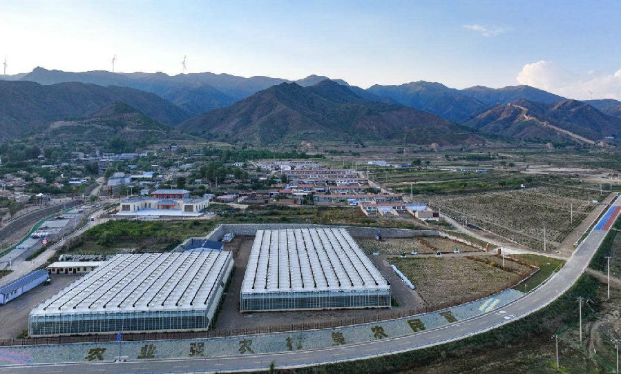 天镇农业示范园区（晋晓  摄）