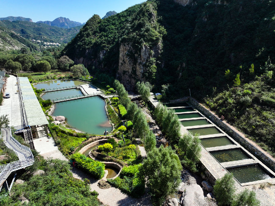 车河社区内打造的“清水鱼庄”（王成 摄）