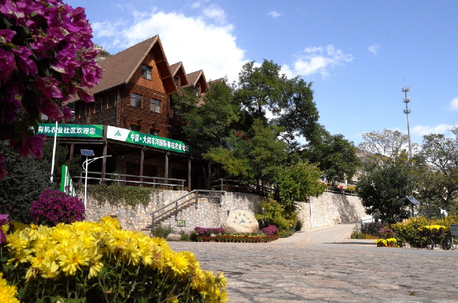  车河有机社区（王成  摄）