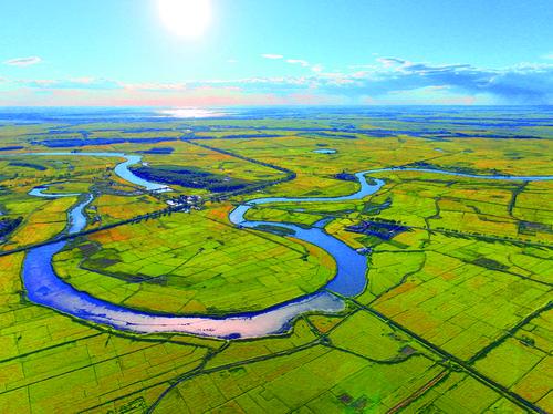 镇赉县万亩良田生机盎然（潘晟昱 摄）