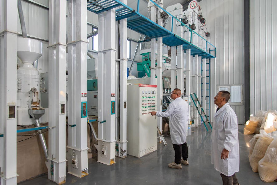 技术人员在生产车间内调试设备（楚向东 摄）