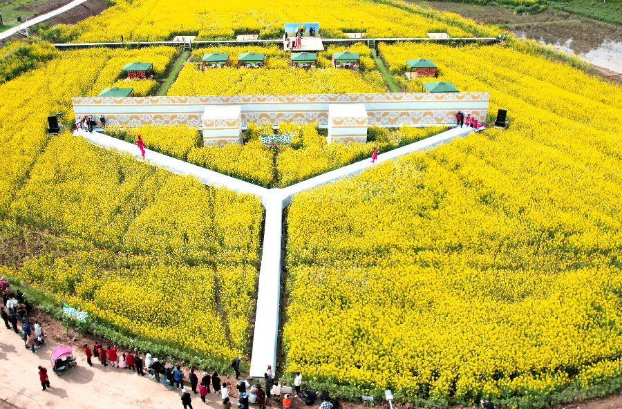 乐至县劳动镇的“帅府粮仓”粮经统筹示范区。（ 姚阳 摄）