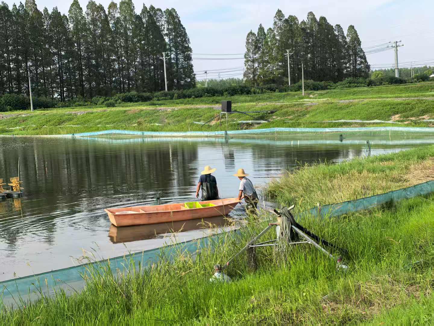 “四季有虾”示范基地工作人员正在捕捞小龙虾（丛伯地 摄）