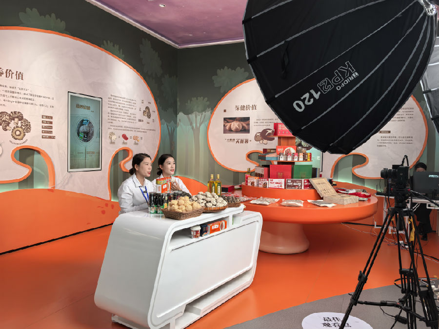 “村播”双胞胎姐妹花在进行香菇直播（余惠玲 摄）