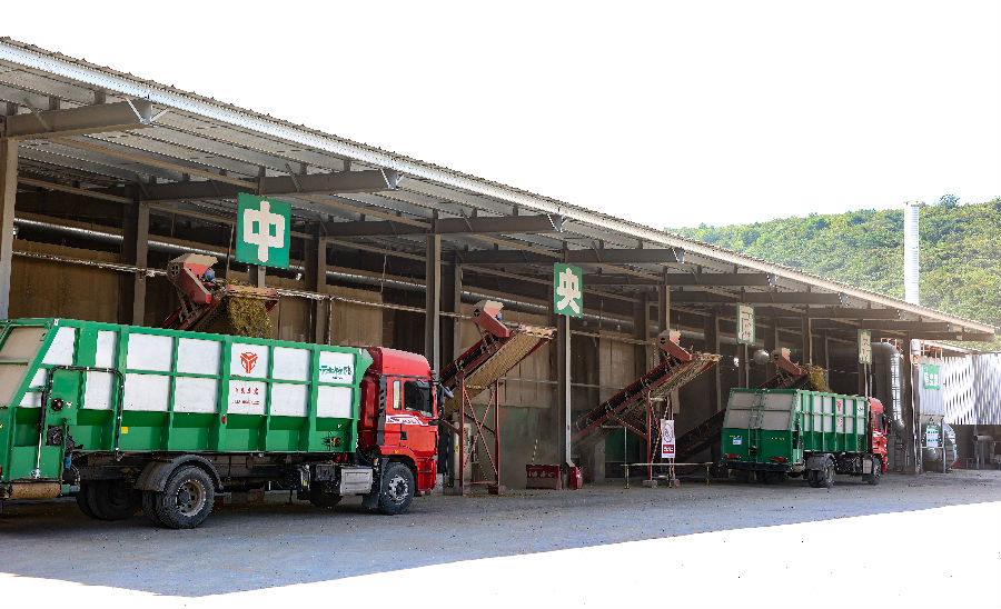 中央厨房8位动物营养专业的硕士生团队为牛群定制营养餐（刘江 摄）