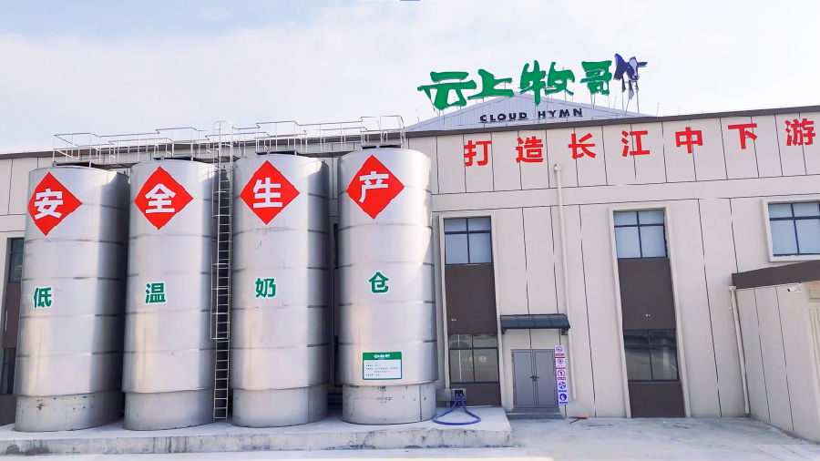 低温奶仓将牛奶维持在4摄氏度以下，锁住活性蛋白。（杨澳 摄）