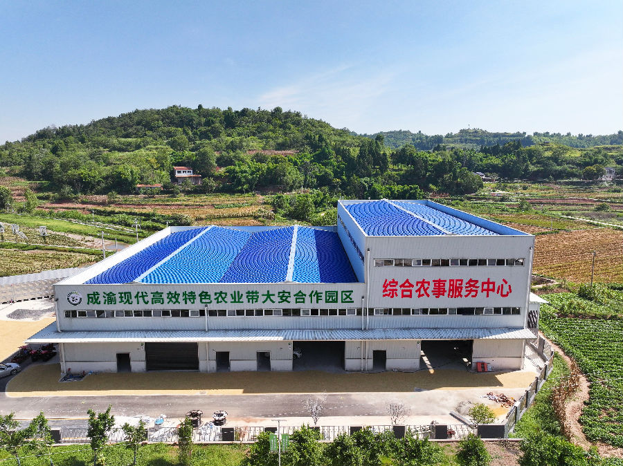 即将投用的白芷加工厂（潘政吉  摄）