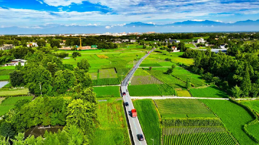 和美乡村新貌（何曼青 摄）