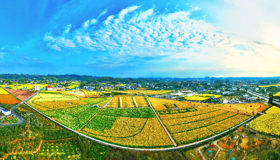 丹棱七彩田园（刘雪琴 摄）